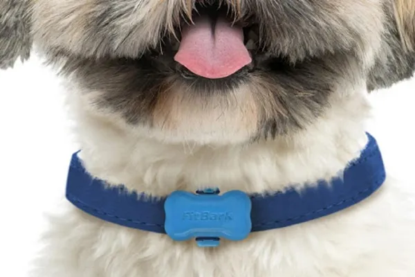 FitBark