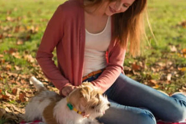 FitBark