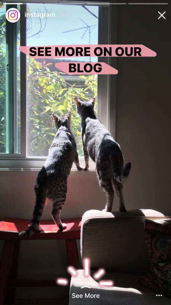 stories-boomerang-mentions