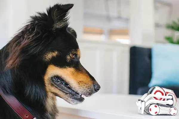 Cozmo