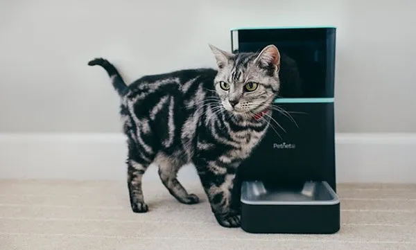 PetNet SmartFeeder