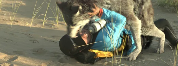 VFX.wolf_after（使用）.jpg