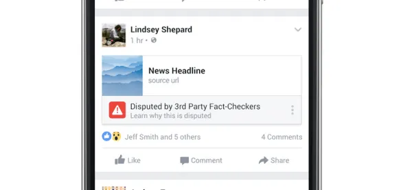 Facebook fake stories