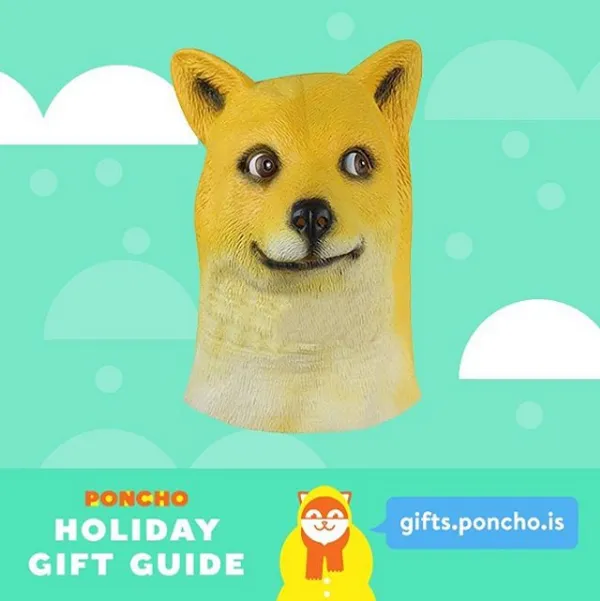 Poncho (2)