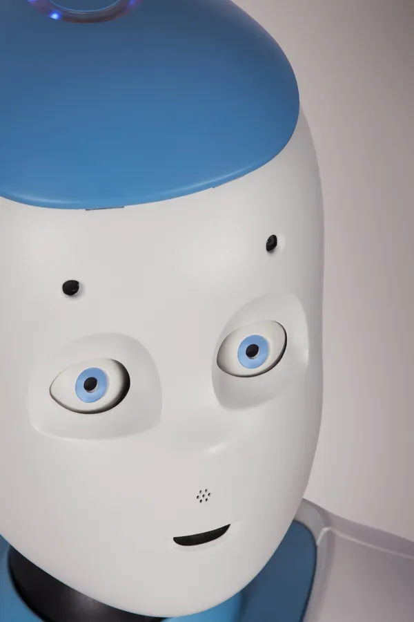 Softbank Robotics Romeo