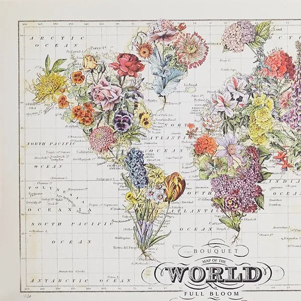 Imagine Nations by Wendy Gold
