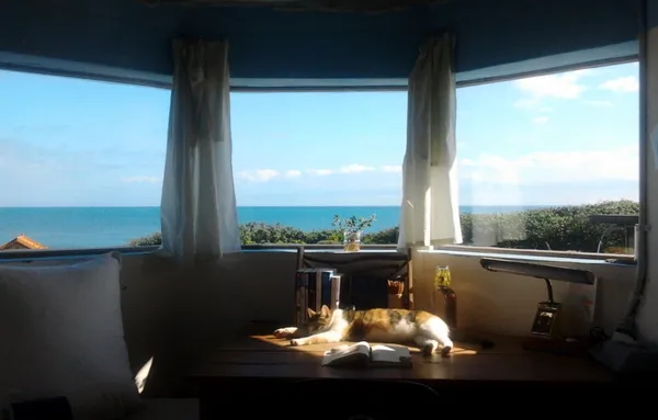 住在花蓮海邊的碉堡，享受像家一樣的生活───自己家 / 住海邊 / 大碉堡