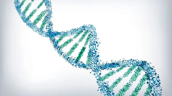 DNA.jpg