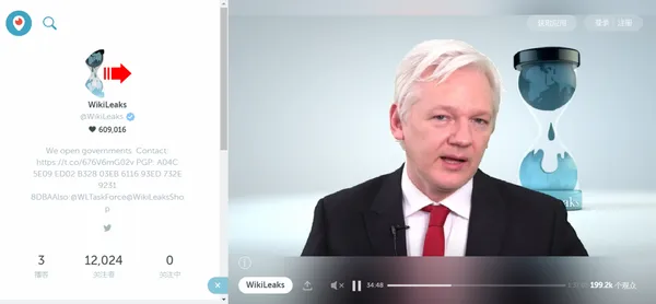 wikileaks.png