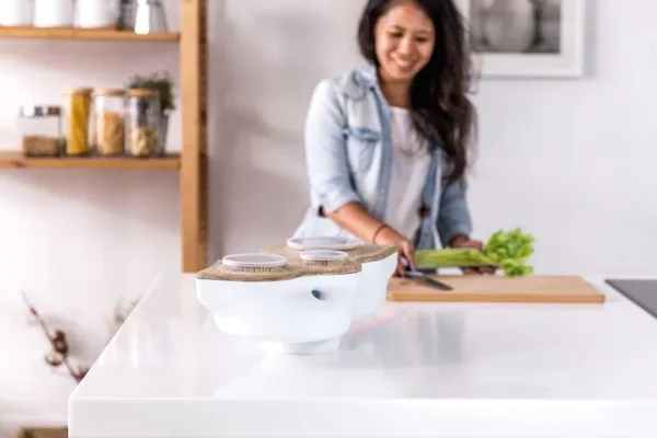 Biovessel