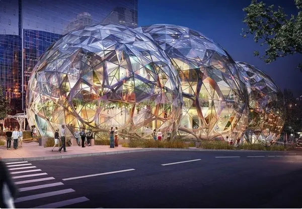 amazon5.JPG