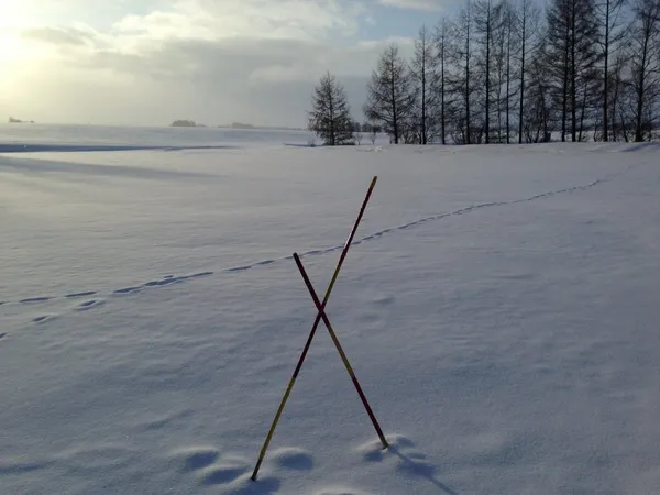詹偉雄專欄_思想雪國4.jpg