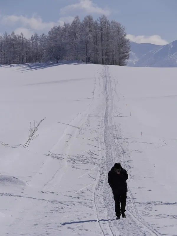 詹偉雄專欄_思想雪國5.jpg