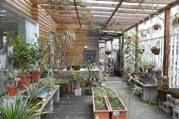 肯園芳療師溫佑君_植物生活配圖2.JPG