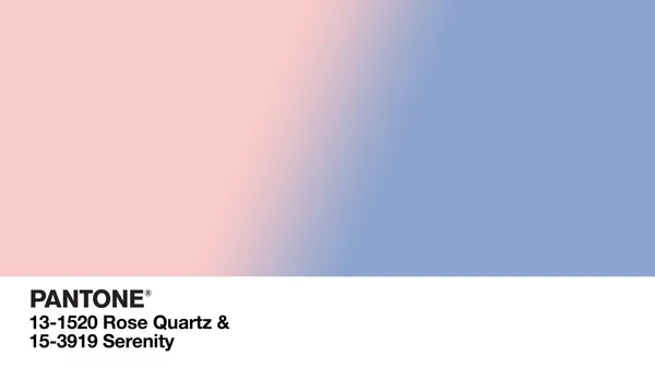 PANTONE 24.jpg
