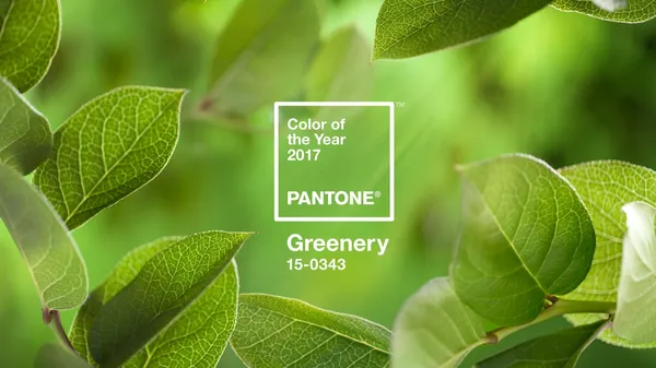 PANTONE 18.jpg