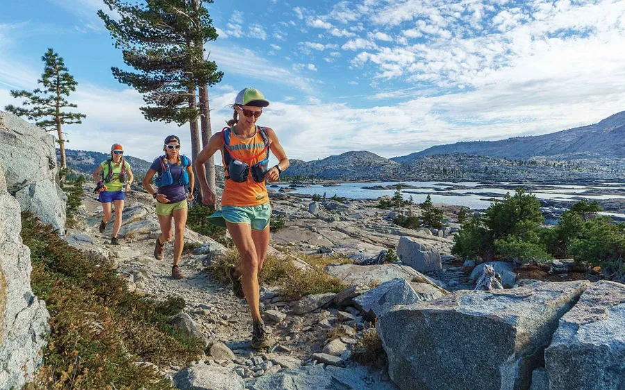 Patagonia通路行銷法則：掌握四大配銷管道，讓公司順利成長