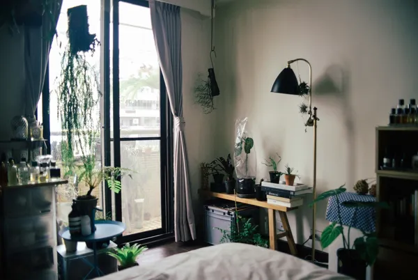 珍奇植物藏家Yen Hao Chen .jpg