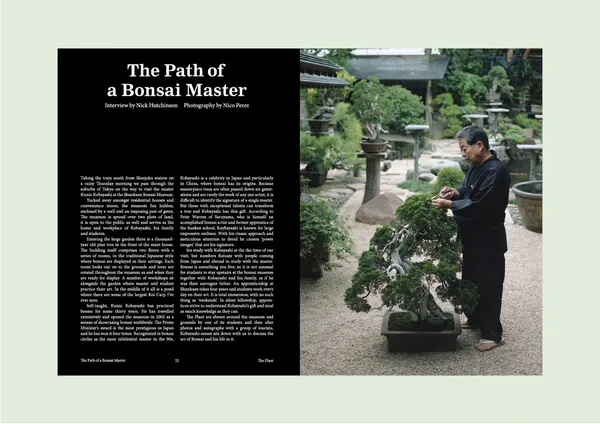 THE PLANT