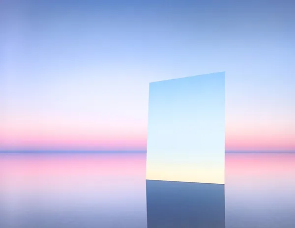 mirror 12, 2017© murray fredericks.jpg