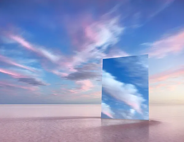 mirror 18, 2017 © murray fredericks.jpg