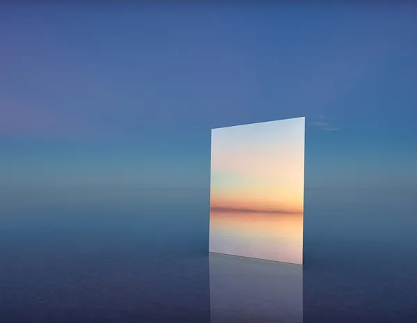 mirror 30, 2017 © murray fredericks.jpg