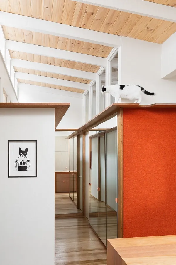 墨西哥風格居所_08_9956-Cat shelf.jpg