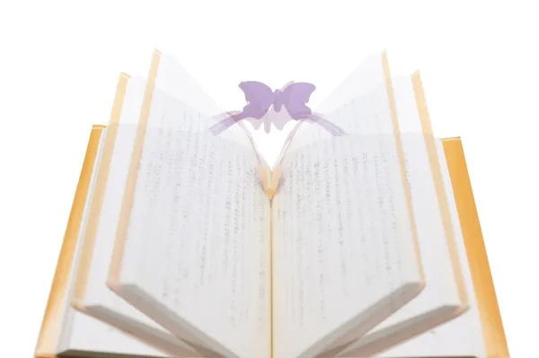 +d_POP UP BOOKCOVER_2.jpg