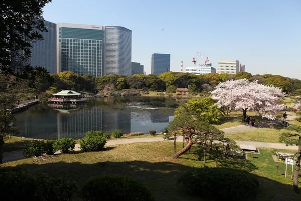 東京都心的寧靜時光