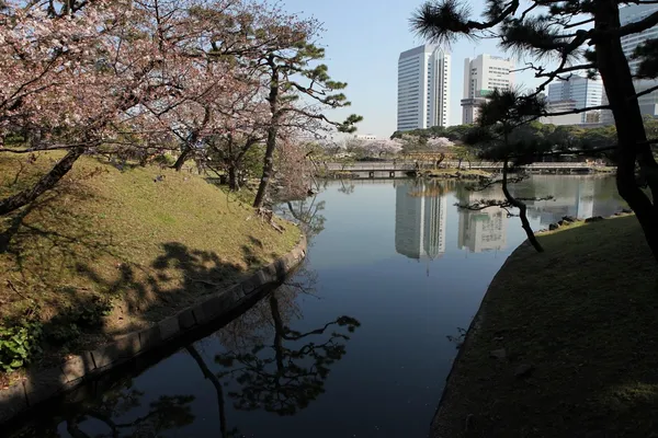 100種東京_濱離宮之春 (1).JPG