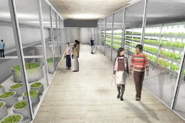 Floating Sea Farms (3)