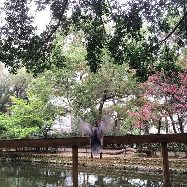 新竹動物園_2015.jpeg