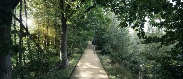 EFFEKT丹麥公園步道設計05.jpg