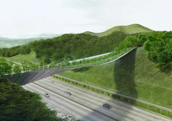 高速公路上的生態橋，重新連起被切斷的自然