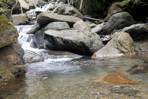 加羅湖02.JPG