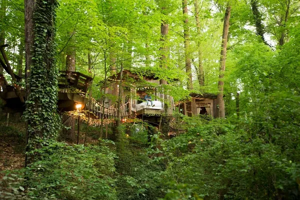 Secluded_Intown_Treehouse_05.jpg