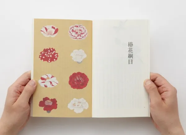 大黑大悟_三重塔_21.jpg
