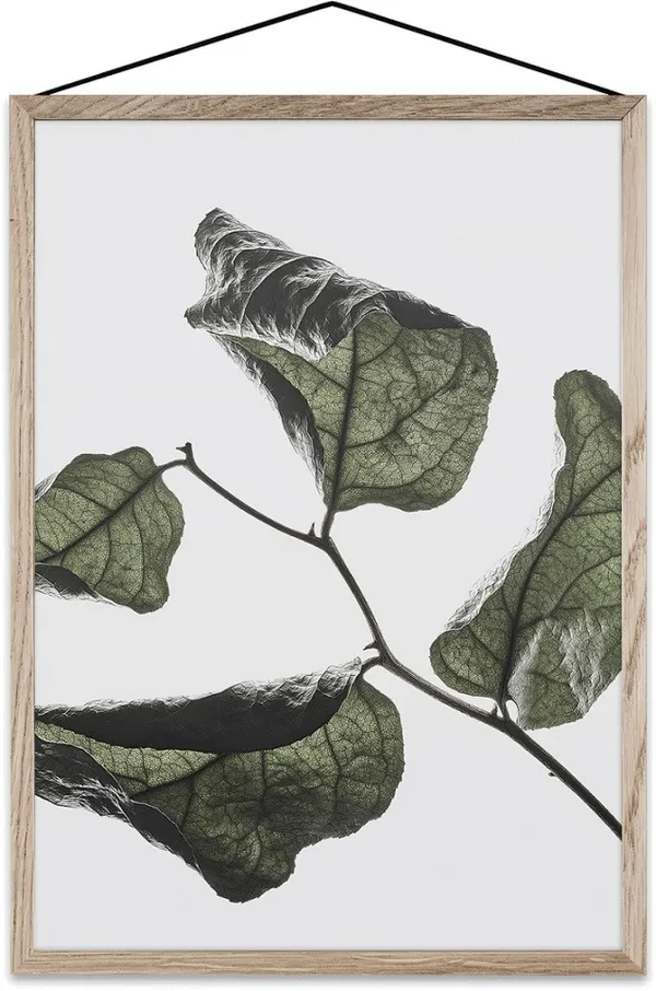 Moebe_floating leaves_06.jpg