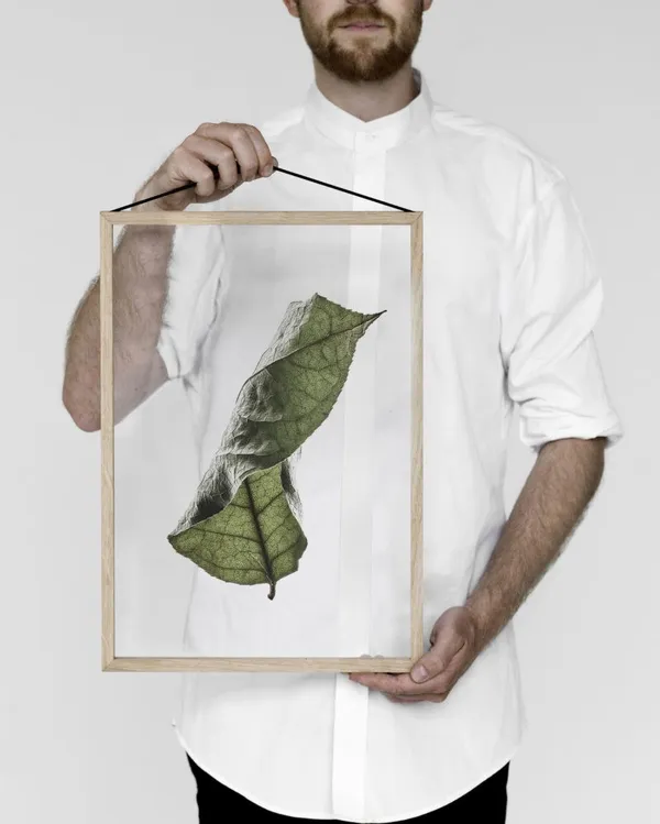 Moebe_floating leaves_07.jpg