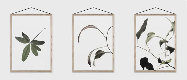Moebe_floating leaves_11.png