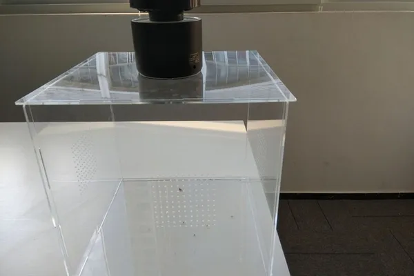 Mosquito Box01.jpg
