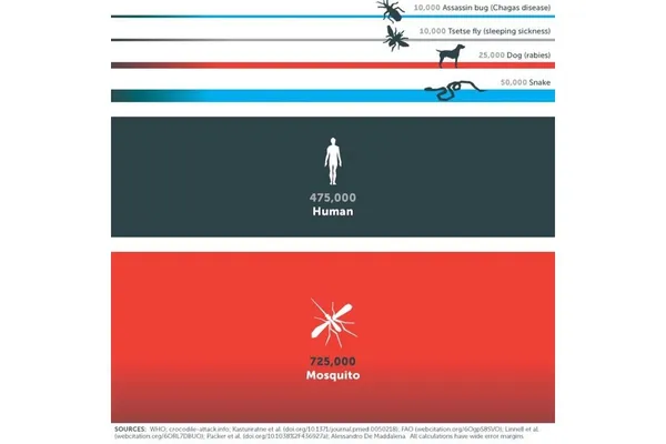 Mosquito Box13.jpg