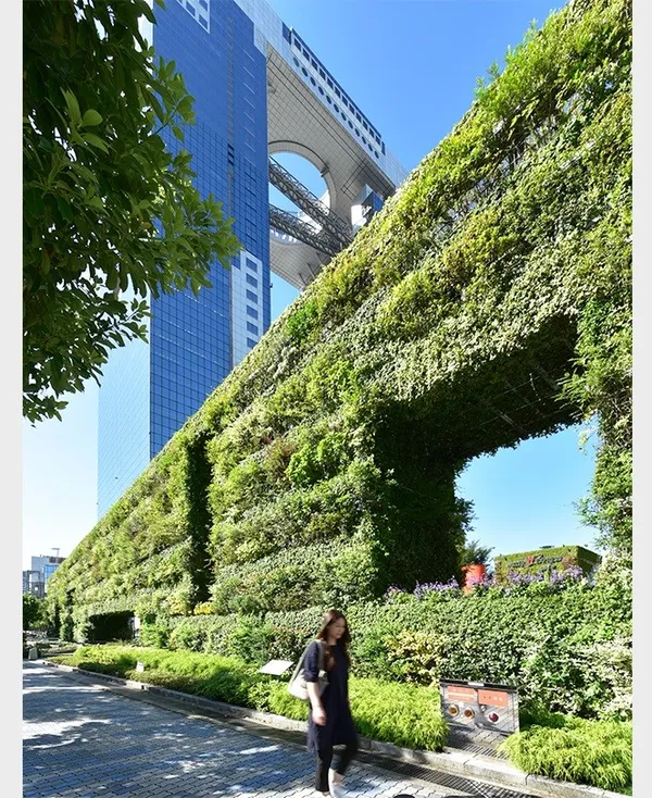 安藤忠雄展13.jpg