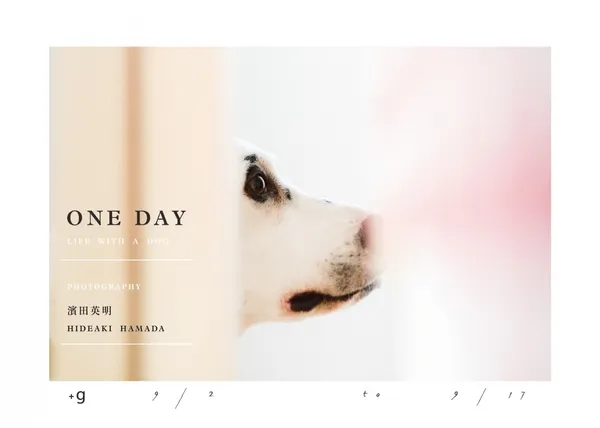 日本攝影師濱田英明「One Day Life with a Dog」台灣首展9月登場！