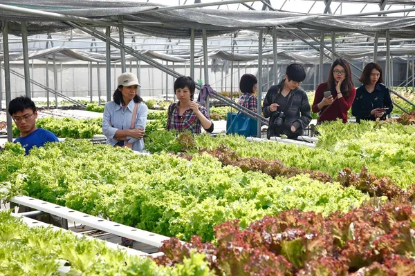 綠谷沙拉生菜園現吃.jpg