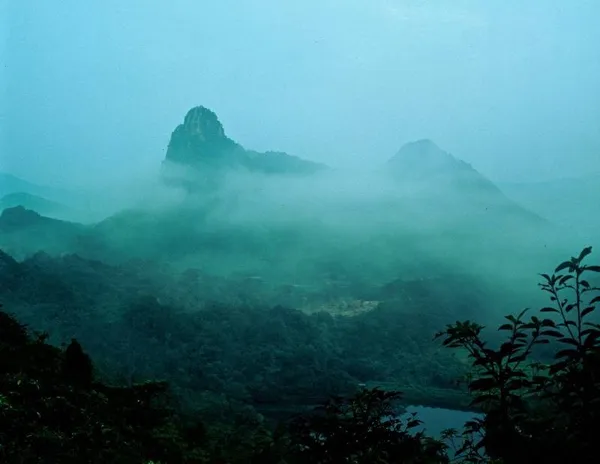 天神之森 _ 在自然環境中的藝術展覽，五感都被神秘空靈的環境給包圍了。.jpg