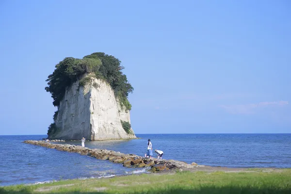 奧能登國際藝術祭
