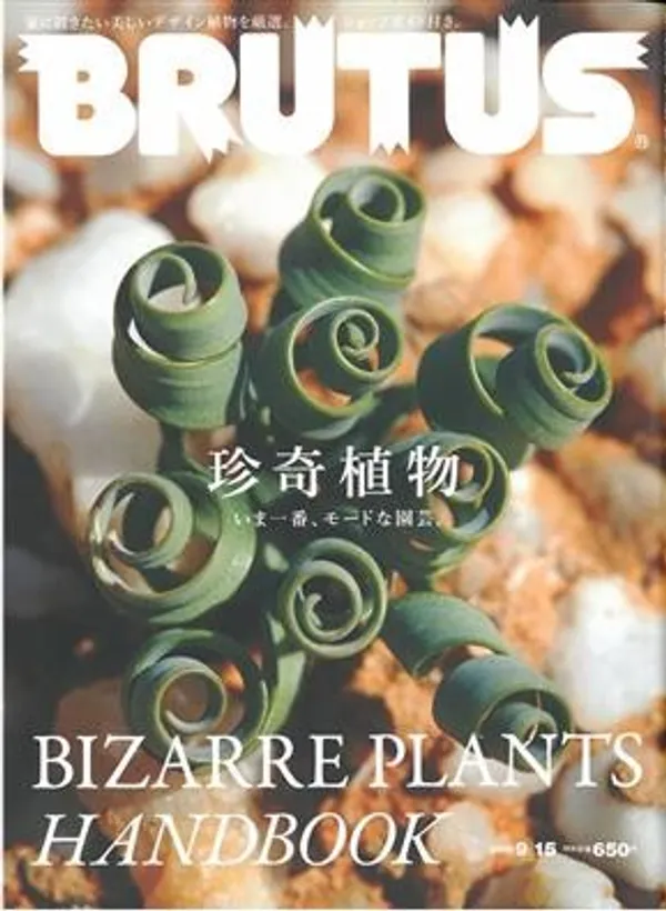 從植物出發的閱讀風景08.jpeg