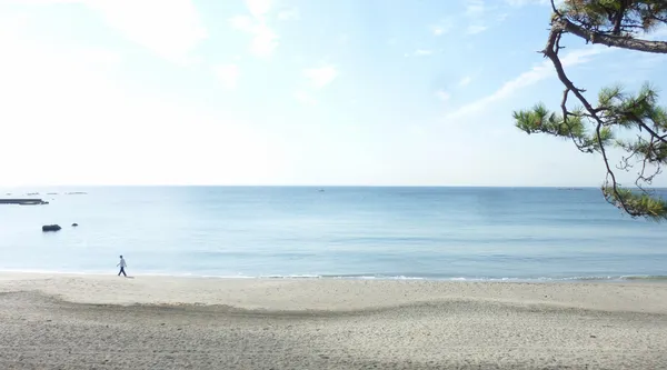 海邊的房子
