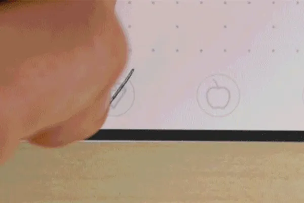 The Everlast Notebook